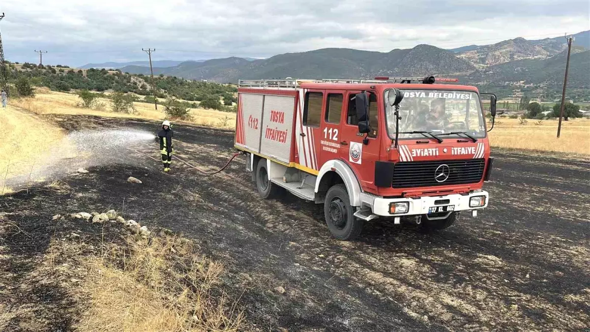 Kastamonu'da Kopan Elektrik Teli Yangına Neden Oldu