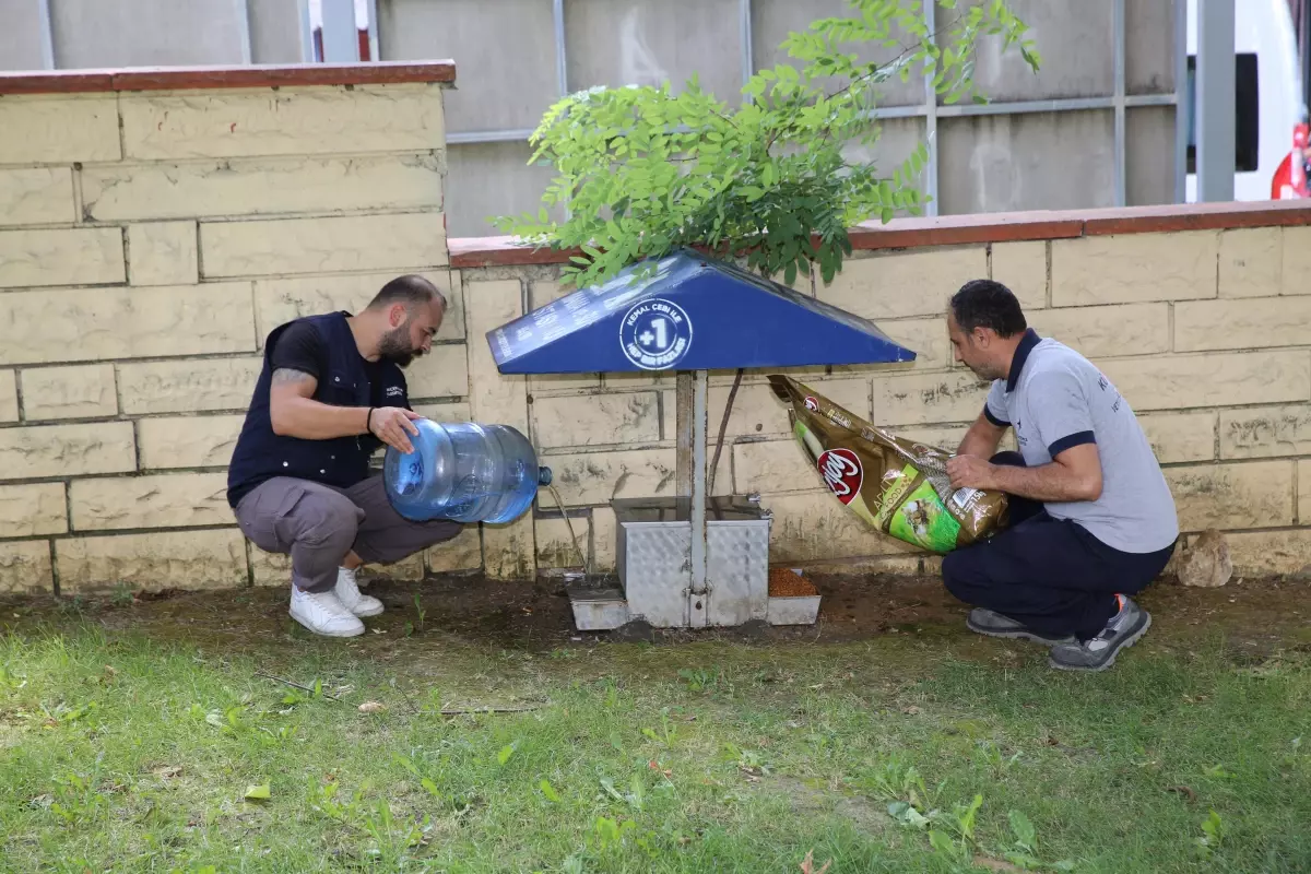 Küçükçekmece Belediyesi, Sokak Hayvanlarına Mama ve Su Desteği Sağlıyor