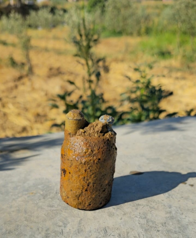 Manisa'da zeytin bahçesinde asırlık top mermisi bulundu Manisa'da zeytin bahçesinde asırlık top mermisi bulundu
