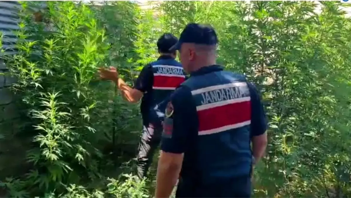 Mersin'de Uyuşturucu Operasyonu: 8 Gözaltı