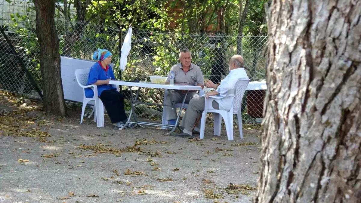 Karabük'te Yangın Faciası: Zeki Özdemir'in 60 Yıllık Hatıraları Kül Oldu