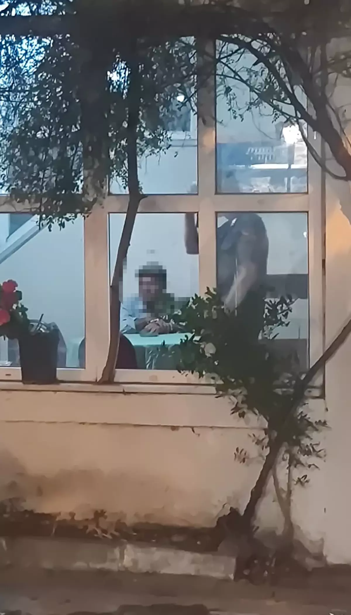 Şarköy'deki Yangınla İlgili 1 Şüpheli Gözaltında
