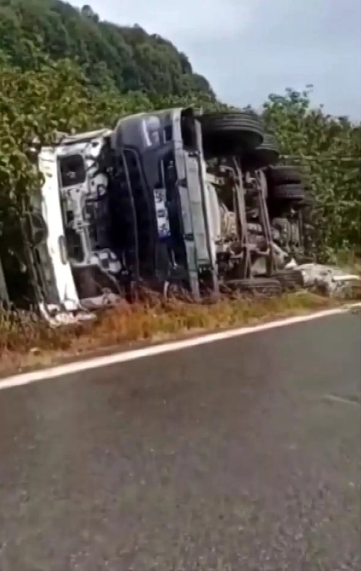 Beton Mikseri Fındık Tarlasına Devrildi, Sürücü Hafif Yaralandı