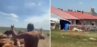 Bir ilimizde durum vahim! 'Nerede bu yetkililer?' diyerek isyan etti: Allah sen yardım et