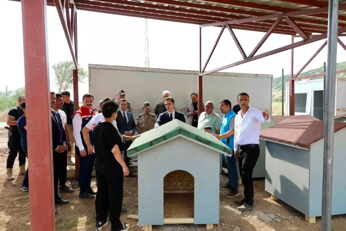 Bitlis Valisi Ahmet Karakaya, Hayvan Barınağı İnşaatında İncelemede Bulundu