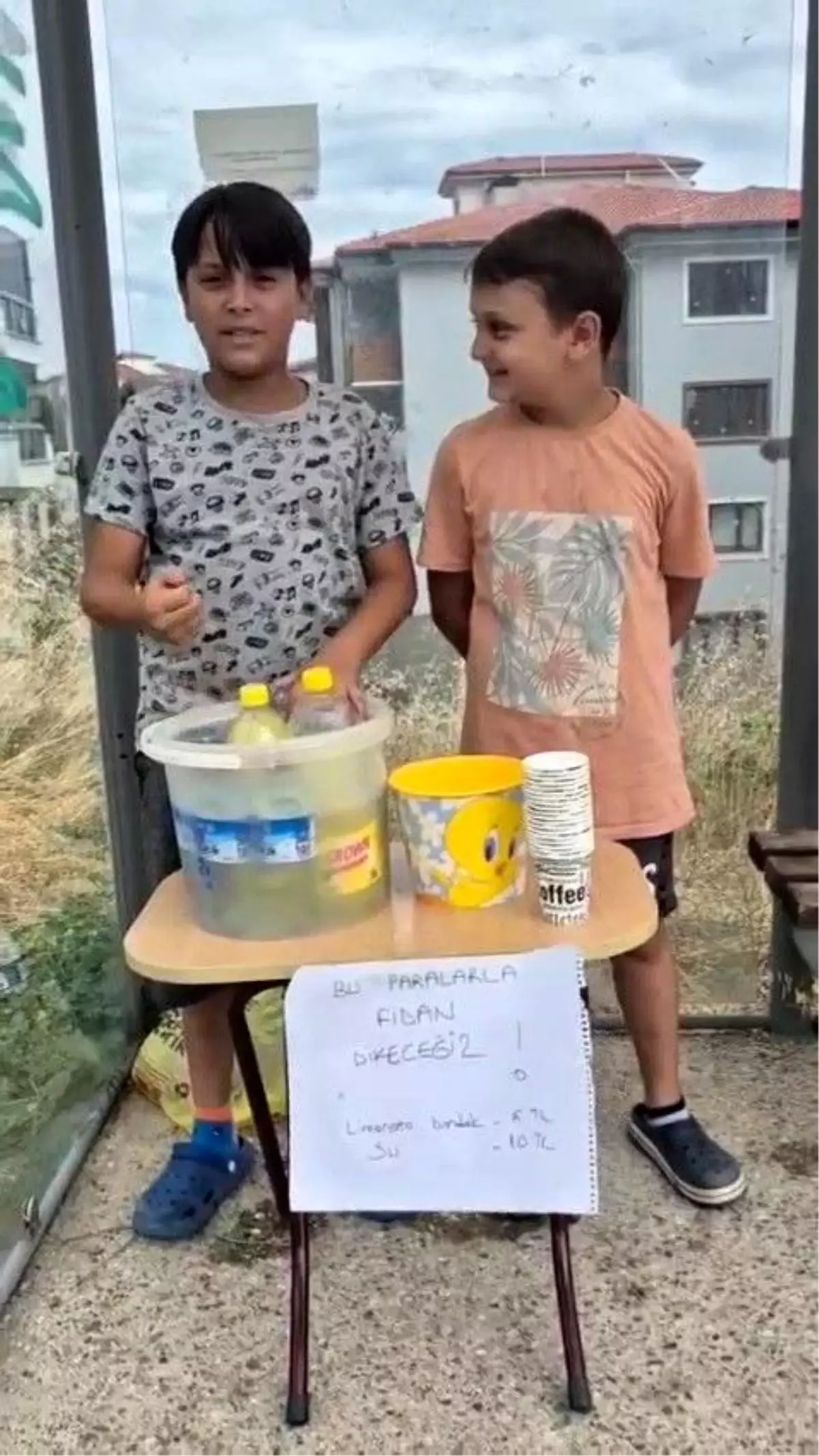 Çocuklardan Örnek Proje: Limonata İle Fidan Dikimine Destek
