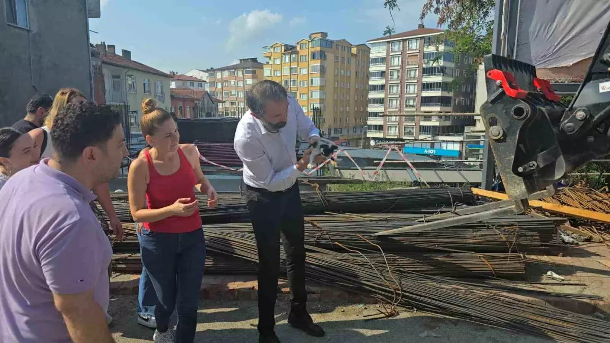 Zonguldak'ta Yavru Kedi İnşaat Demirlerinden Kurtarıldı