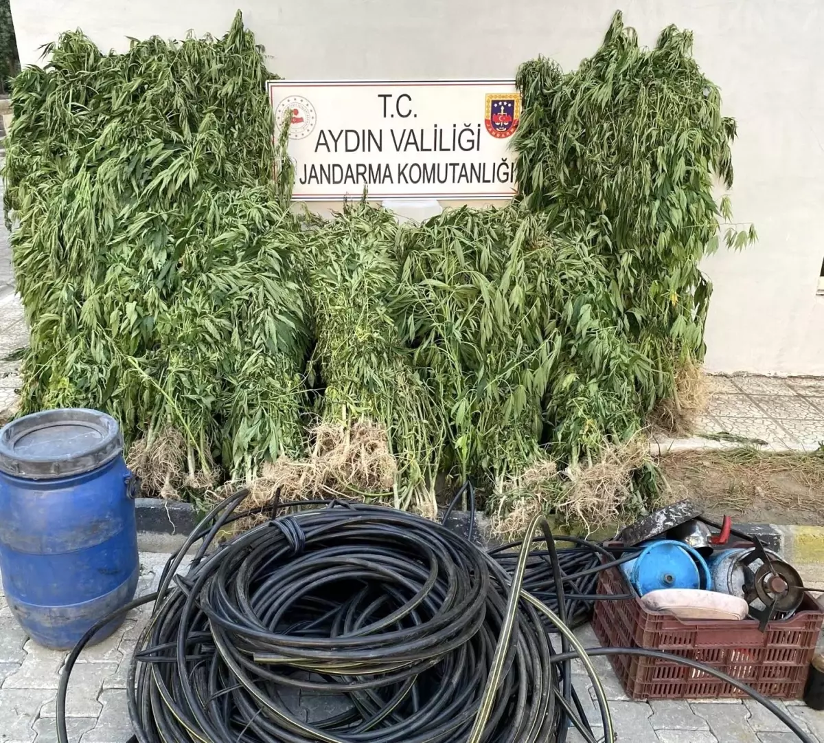 Aydın'da Uyuşturucu Operasyonu: 17 Şüpheli Yakalandı