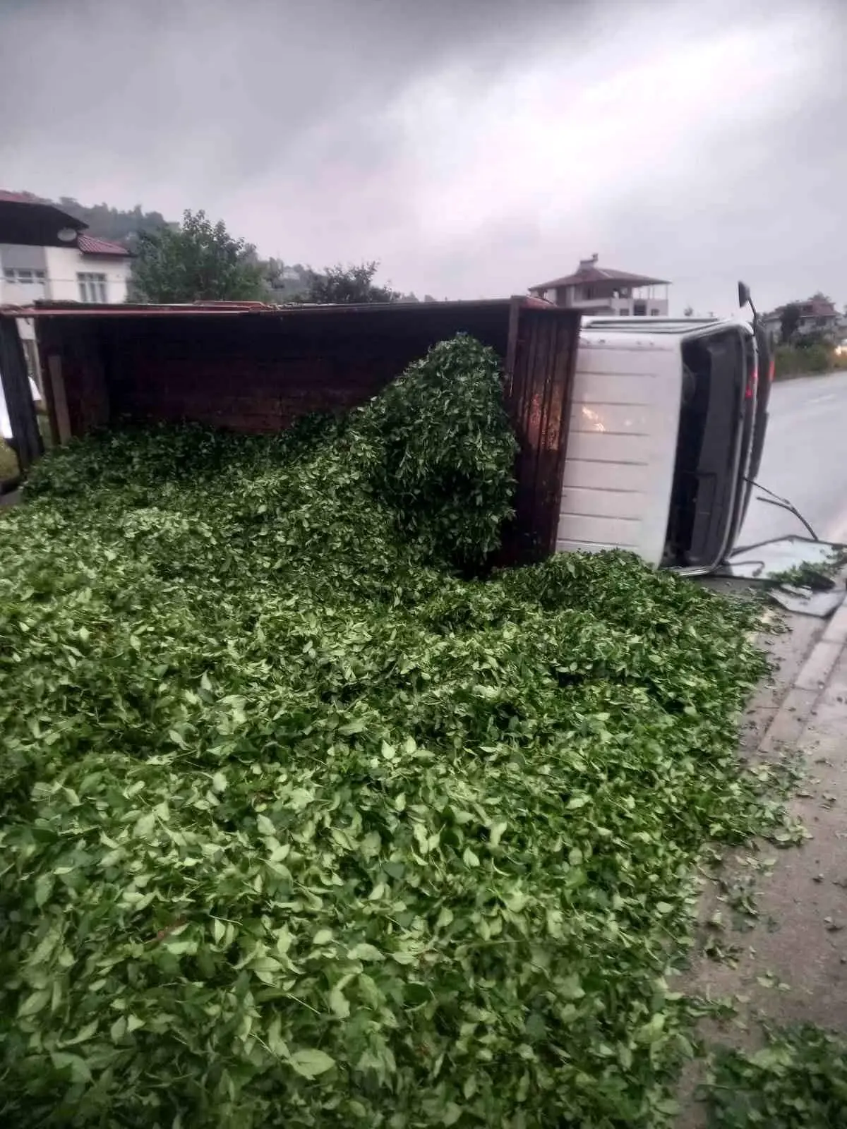 Trabzon'da Çay Yüklü Kamyon Devrildi, 2 Yaralı