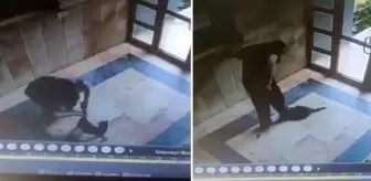 Kediyi vahşice öldüren caninin ifadesi ortaya çıktı: Onu can düşmanım gibi gördüm