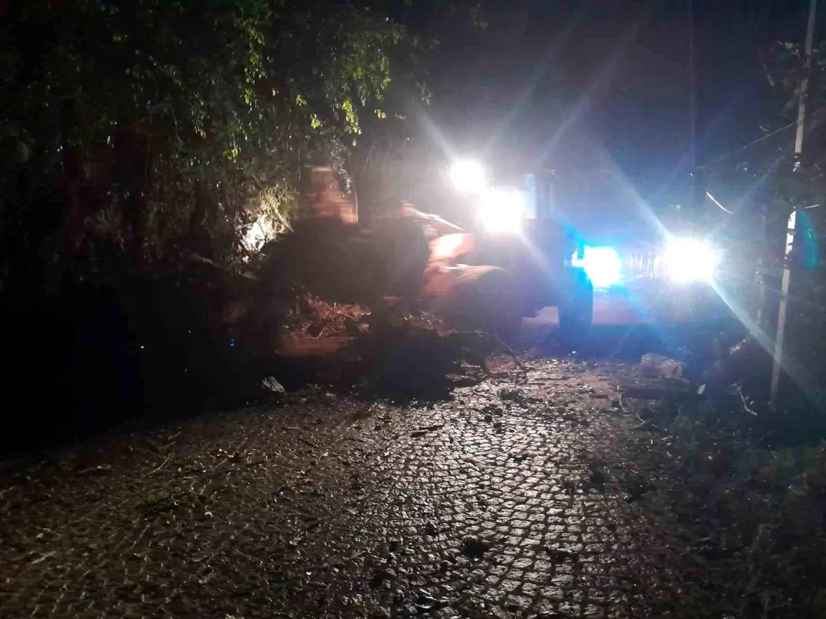 Rize'de Heyelan, Yayla Yolu Ulaşıma Kapandı