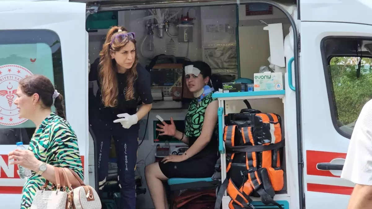 Sapanca'da Kamyonet ile Cipin Çarpışması: 5 Yaralı