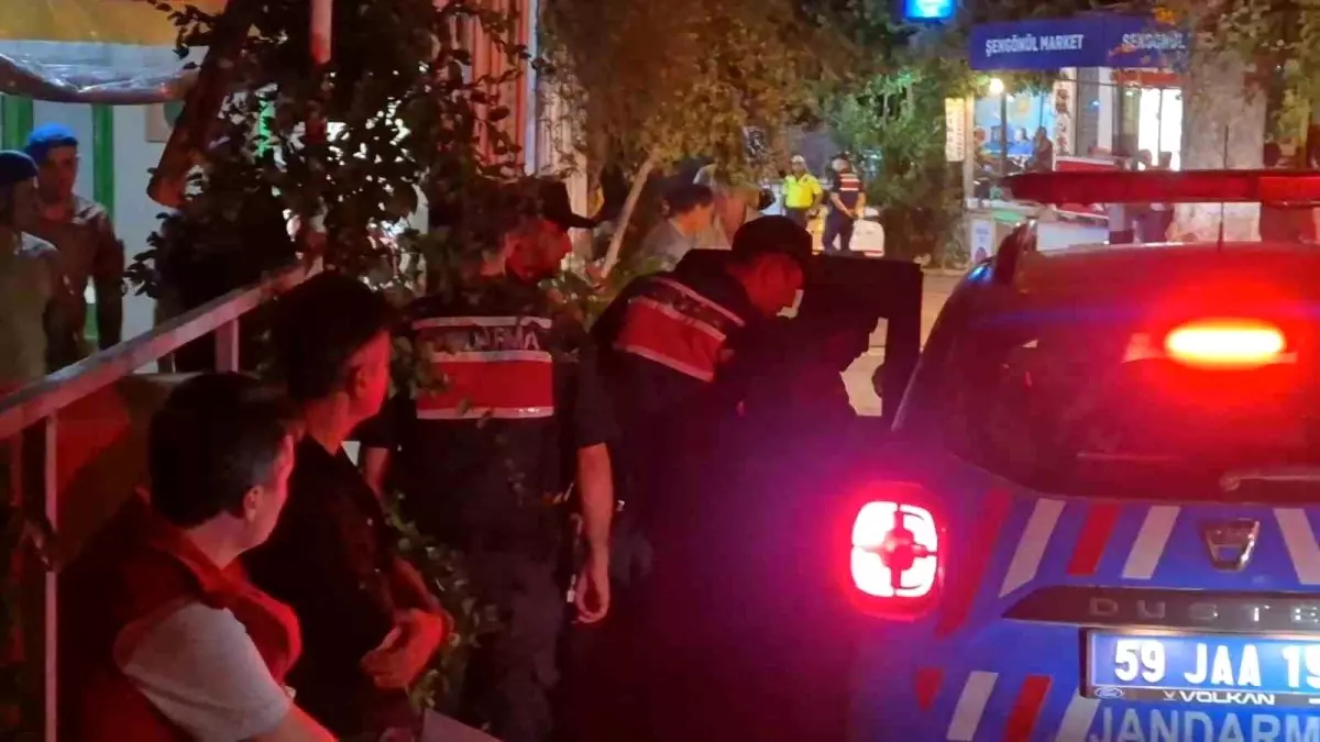 Tekirdağ'da Orman Yangını: 1 Kişi Gözaltında
