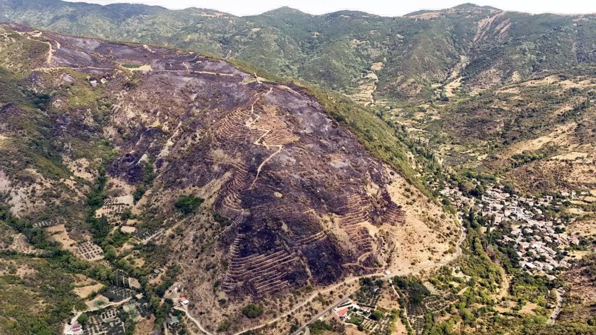Şarköy'de Yangınla İlgili Şüpheli Serbest Bırakıldı