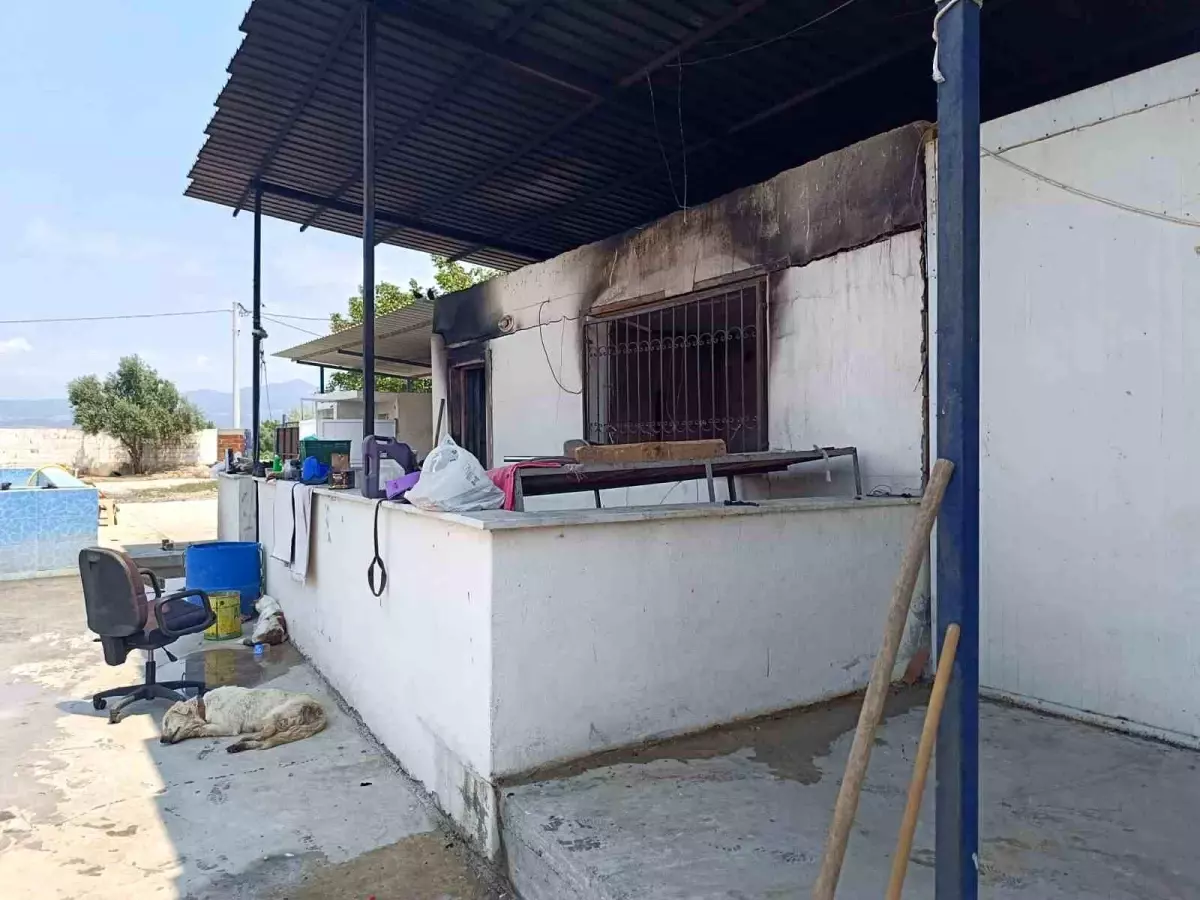 Manisa'da Çiftlik Evinin Yangınında Bir Kişi Hayatını Kaybetti