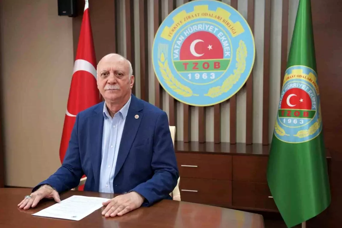 Temmuz Ayında Market Fiyatlarında Sıçrama: Limon Üst Sırada