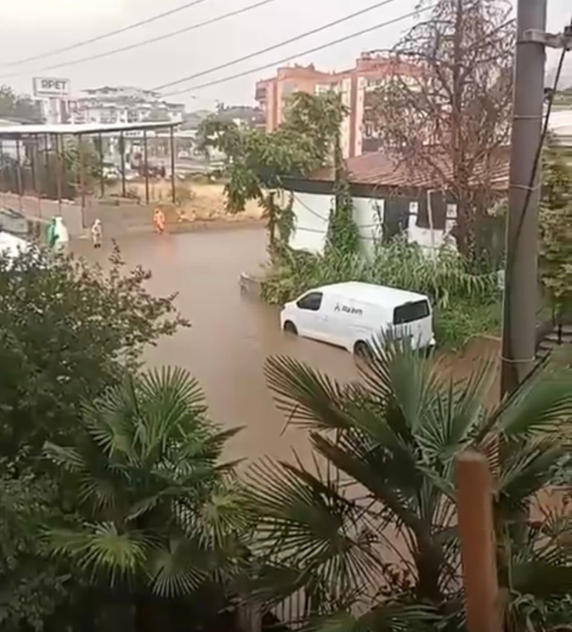 Üzerine ağaç devrilen belediye otobüsünde can pazarı