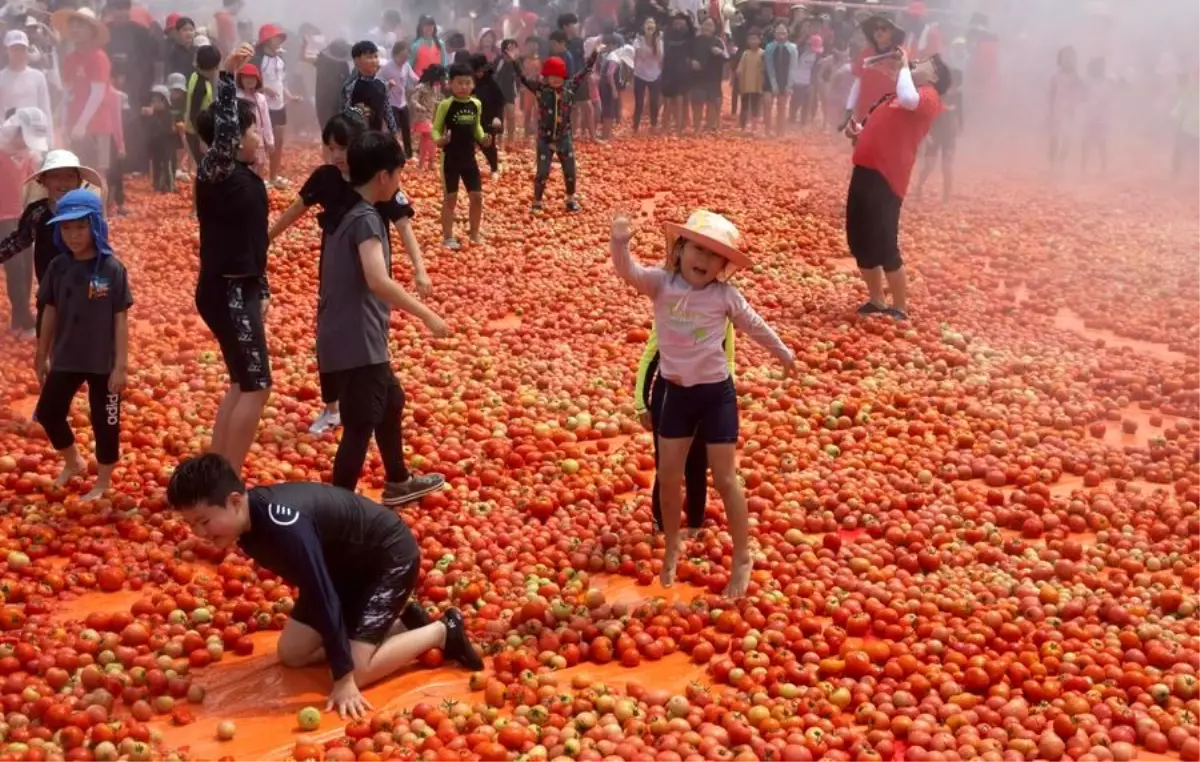 Güney Kore'de Domates Savaşı: Hwacheon Festivali Coşkuyla Gerçekleşti