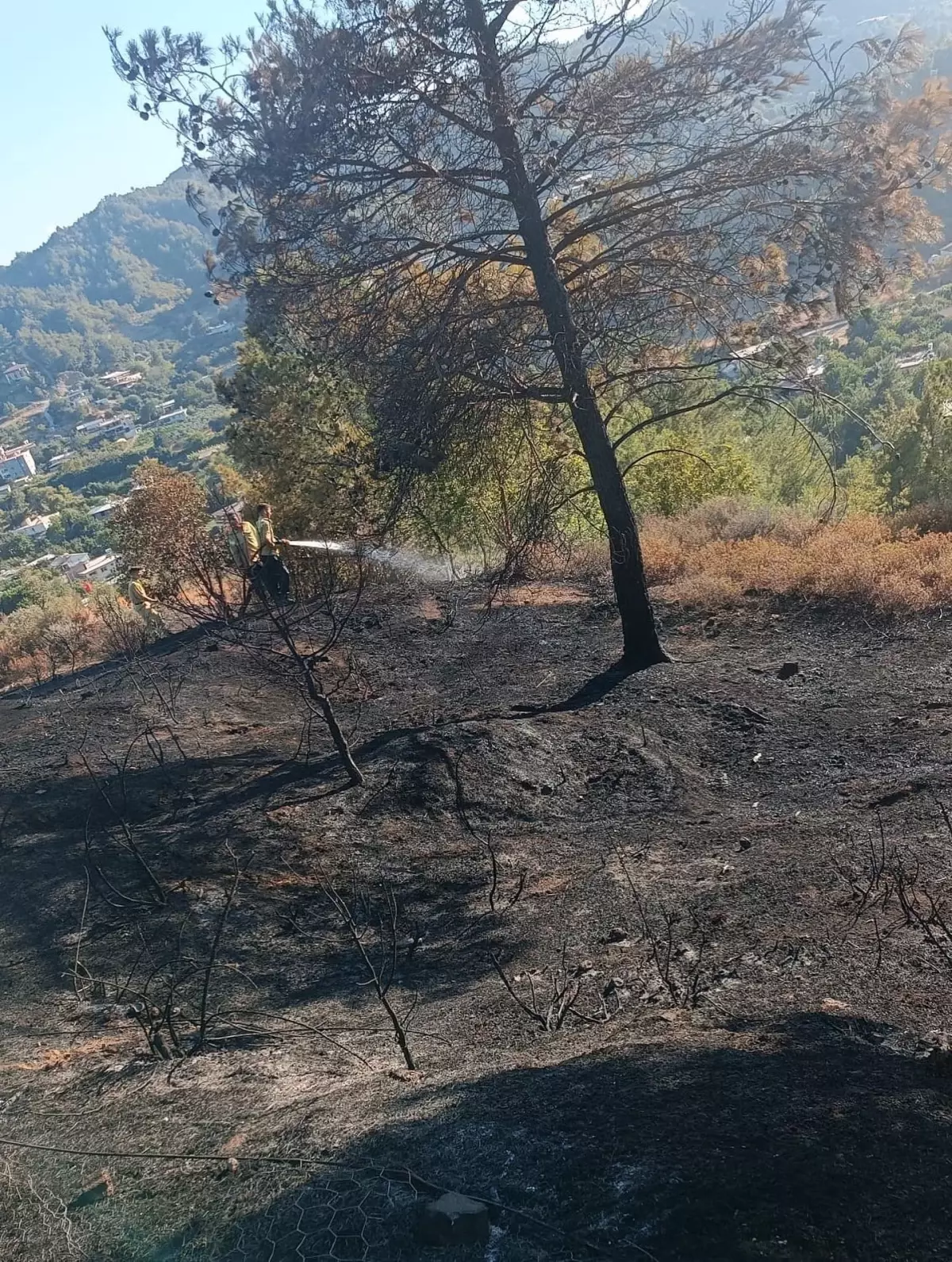Hatay'da Orman Yangını Büyümeden Söndürüldü