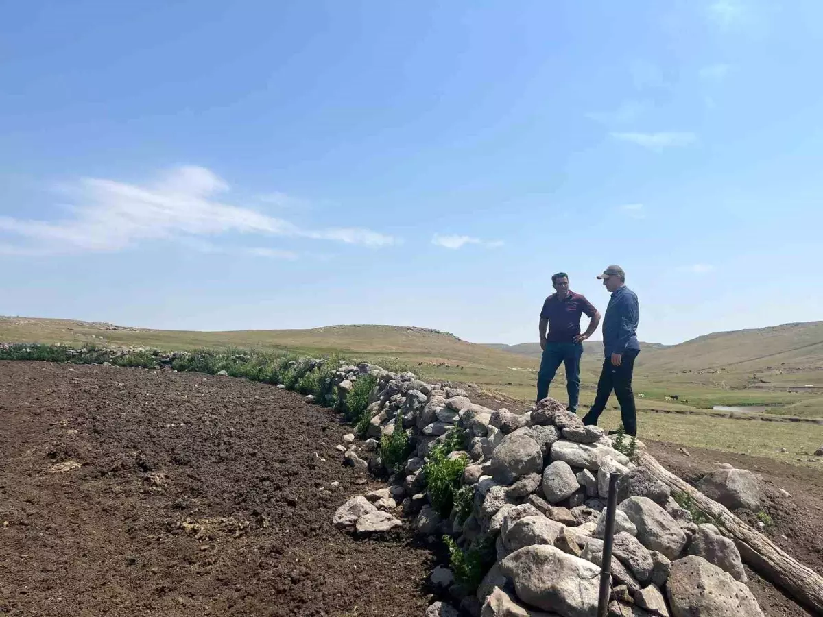 Kars'ta Şap Hastalığıyla Mücadele Devam Ediyor