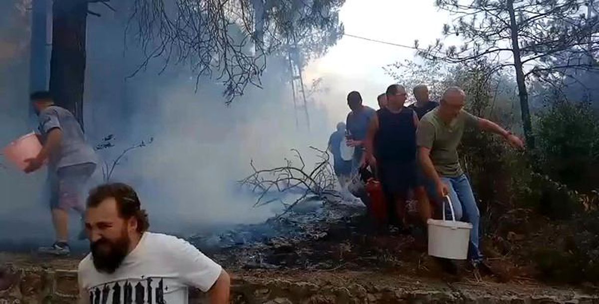 İzmit'te Orman Yangınına Mahalleli Müdahale Etti