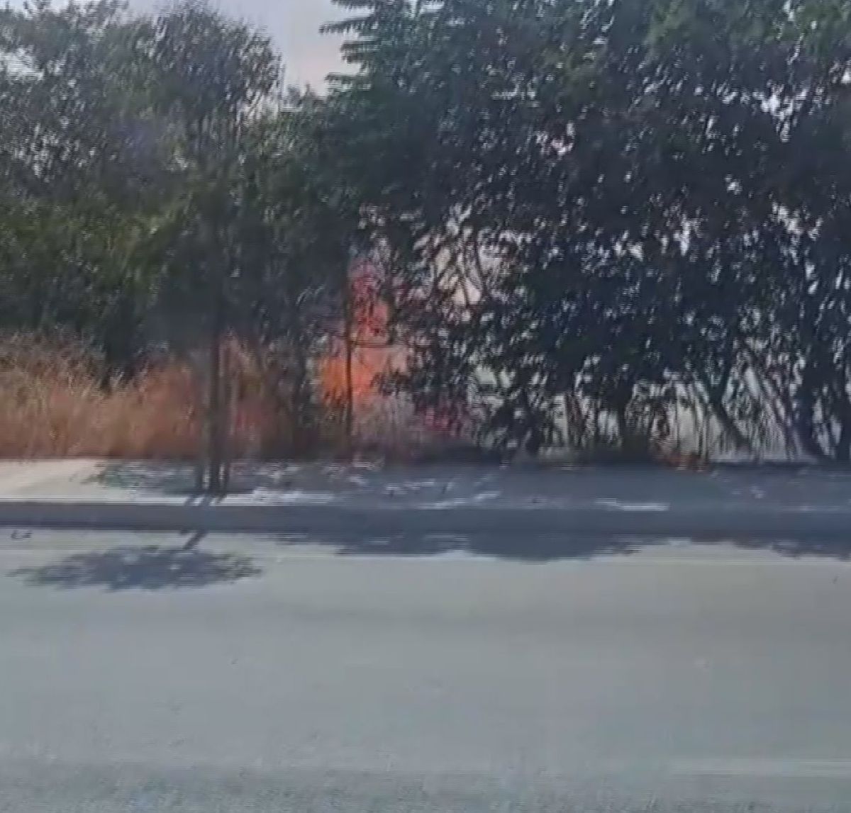 Silivri'de Otluk Alanda Yangın Çıktı