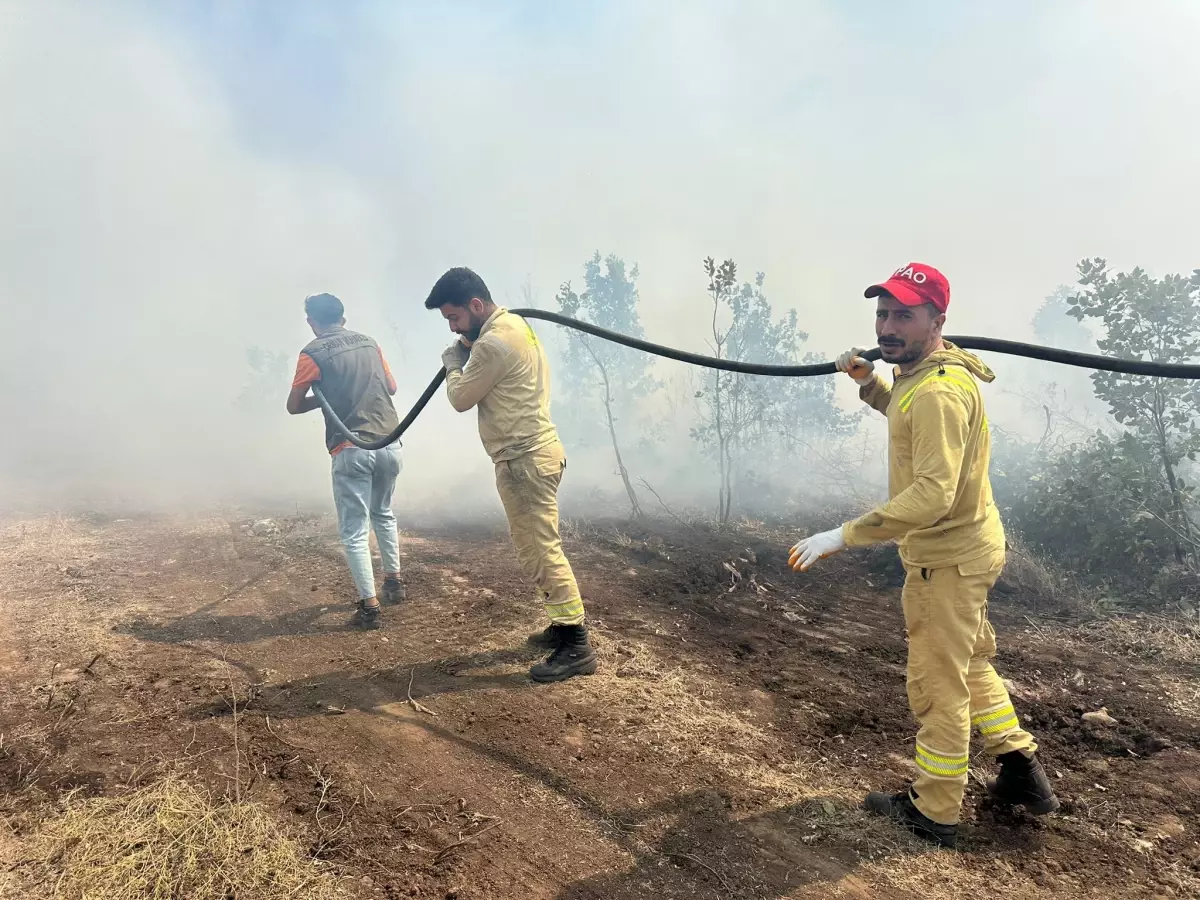 Şırnak'ta Çıkan Örtü Yangını 6 Saatte Kontrol Altına Alındı