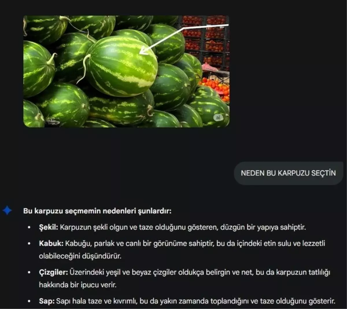 Esnaf, Yapay Zekanın Karpuz Seçiminde Yanıldığına İnanıyor
