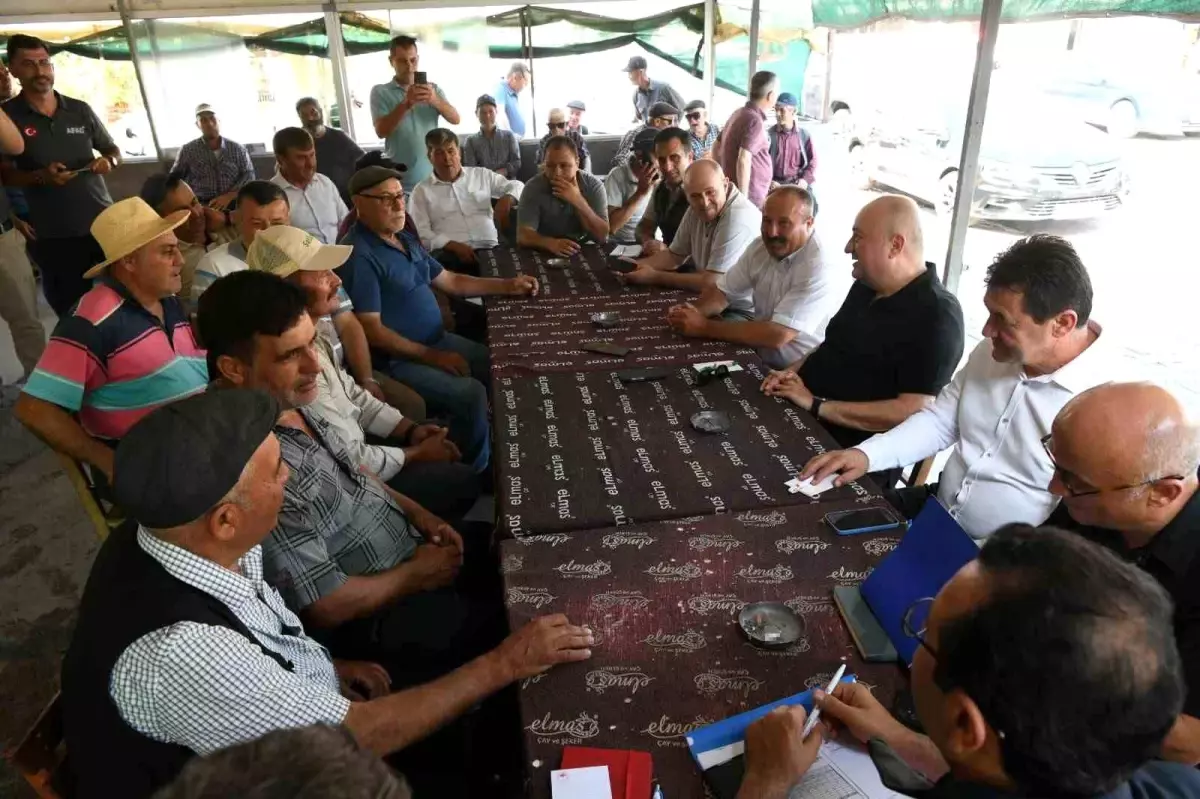 Çanakkale'deki Orman Yangını Sonrası Yaraların Sarılması İçin Hızla Çalışmalar Başlatıldı