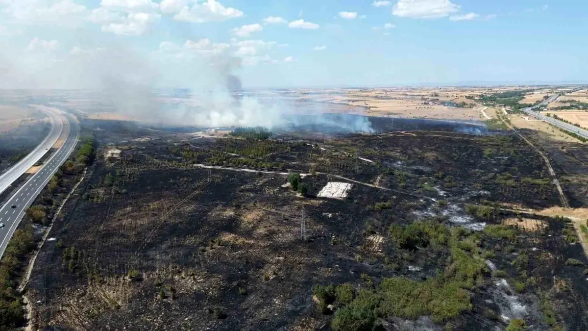 Kırklareli'de TEM Otoyolu Çevresinde Yangın: Hava ve Karadan Mücadele Devam Ediyor