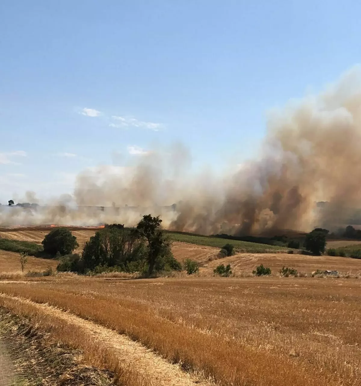 Çanakkale Biga'da Tarım Arazisinde Yangın Çıktı