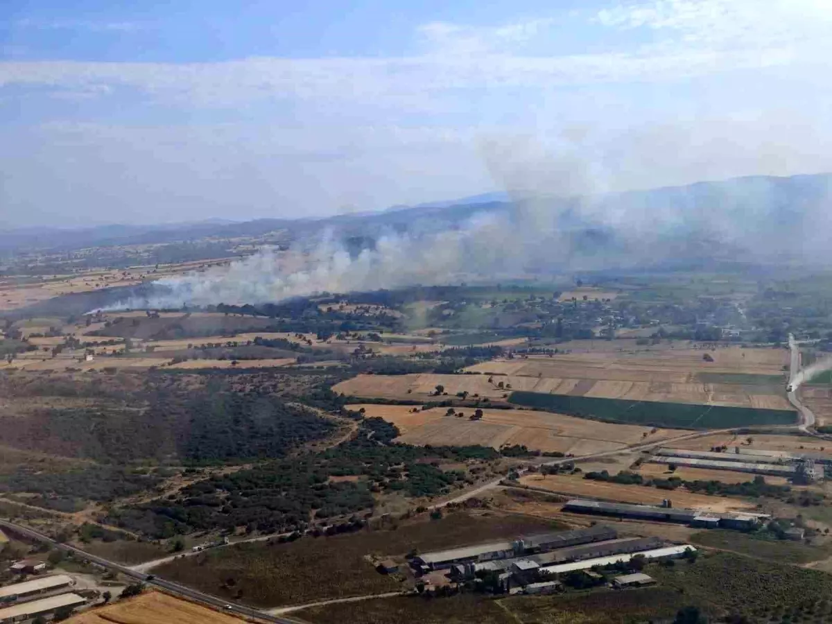 Çanakkale Biga'da Tarım Arazisinde Yangın Çıktı