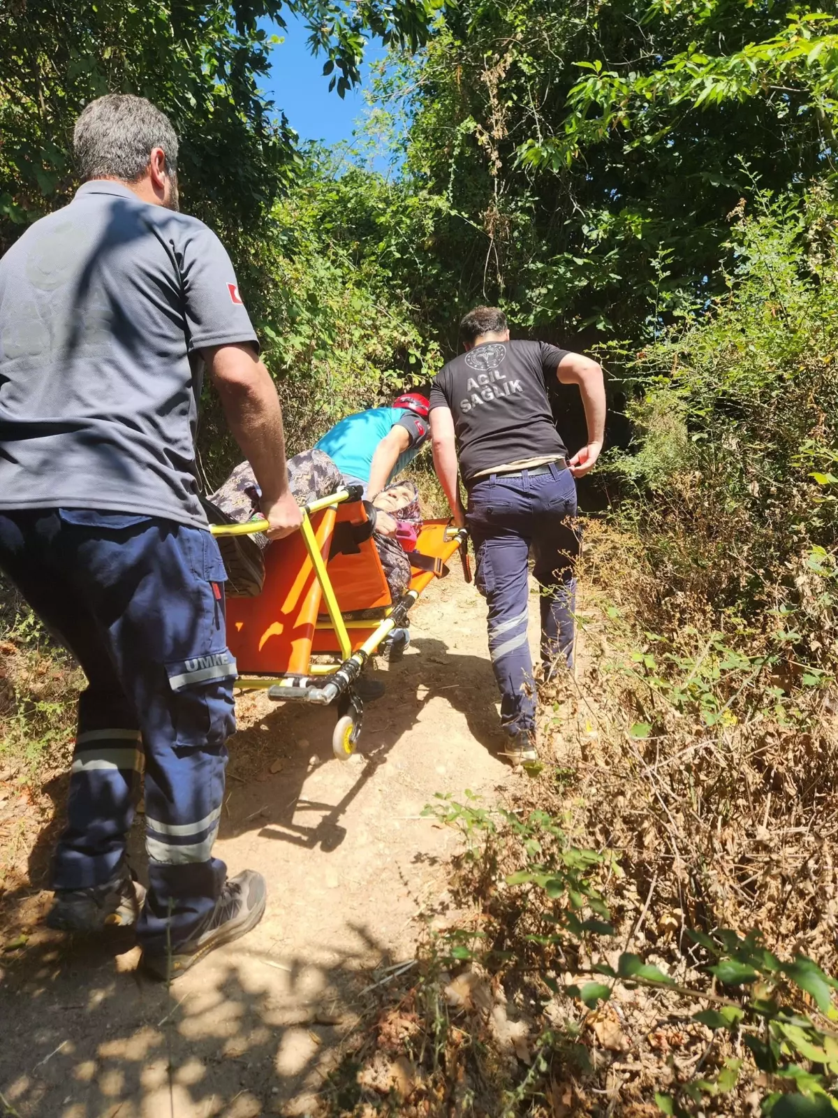 Yalova'da Dağlık Alanda Rahatsızlanan Kadına Kurtarma Operasyonu