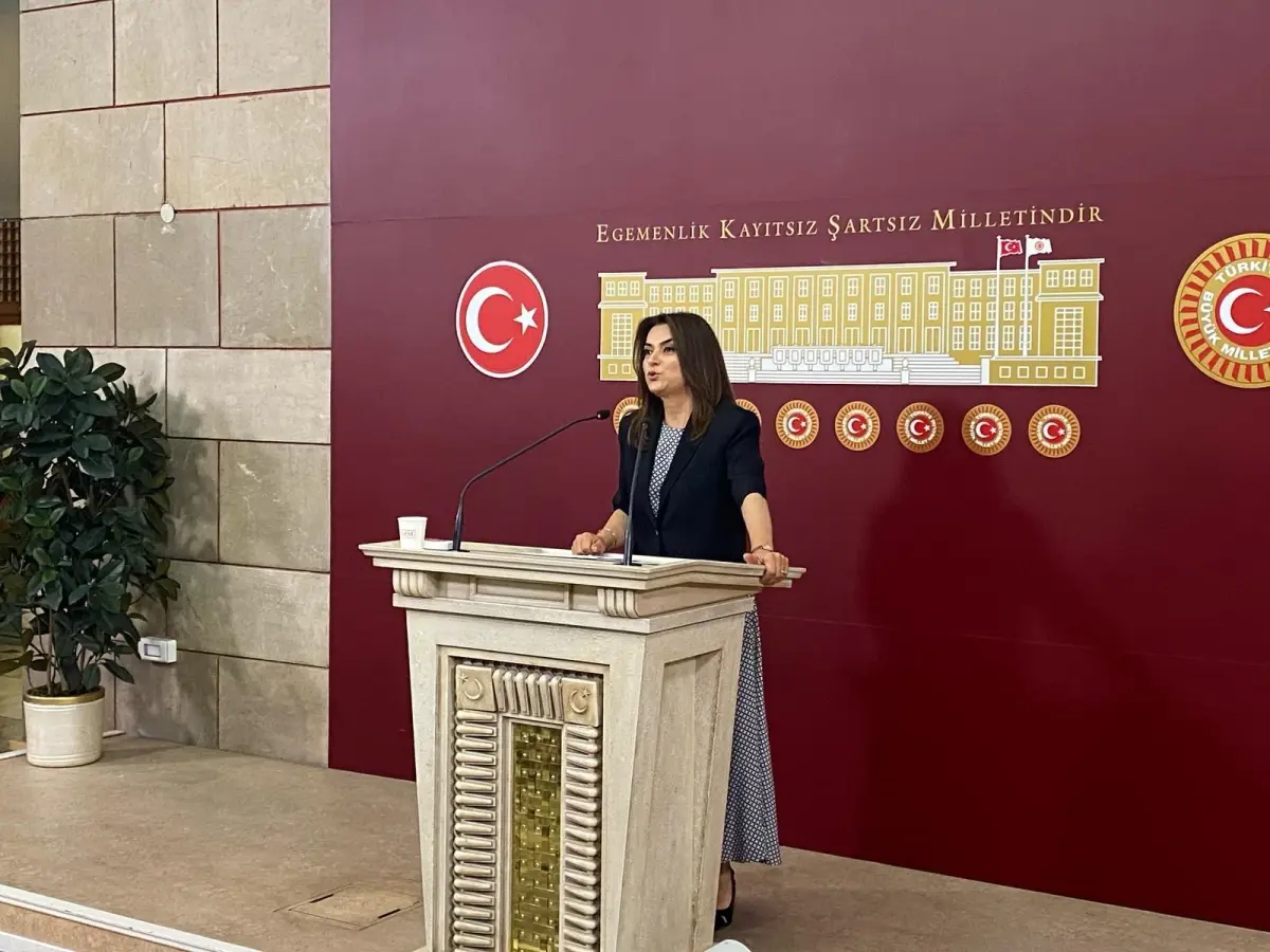 DEM Partisi, TBMM'de Kurulacak Komisyon İçin 'Demokrasi' Vurgusu Yaptı