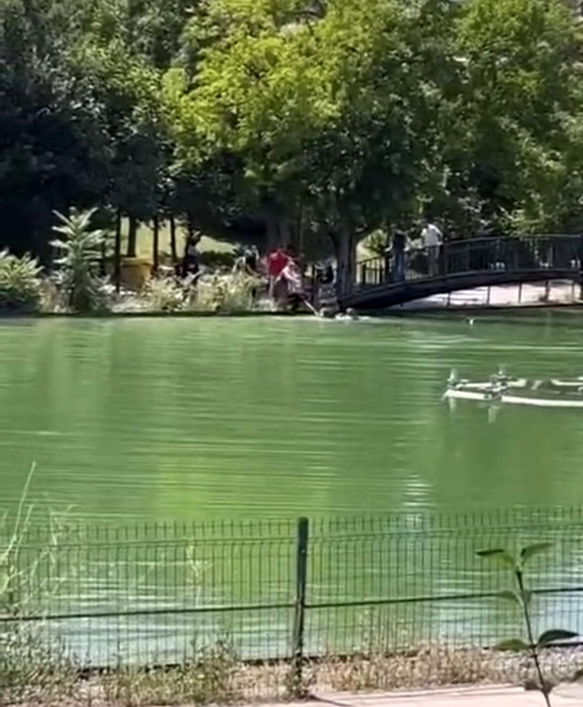 Muş'ta Gölete Düşen Çocuk, Vatandaşların Müdahalesiyle Kurtarıldı