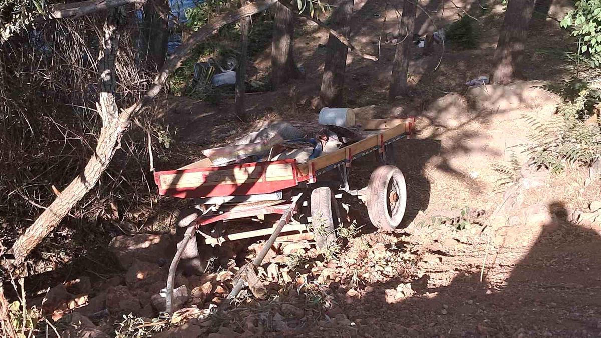 Karaman'da Atın Ürkmesi Sonucu Kaza: 4 Yaralı