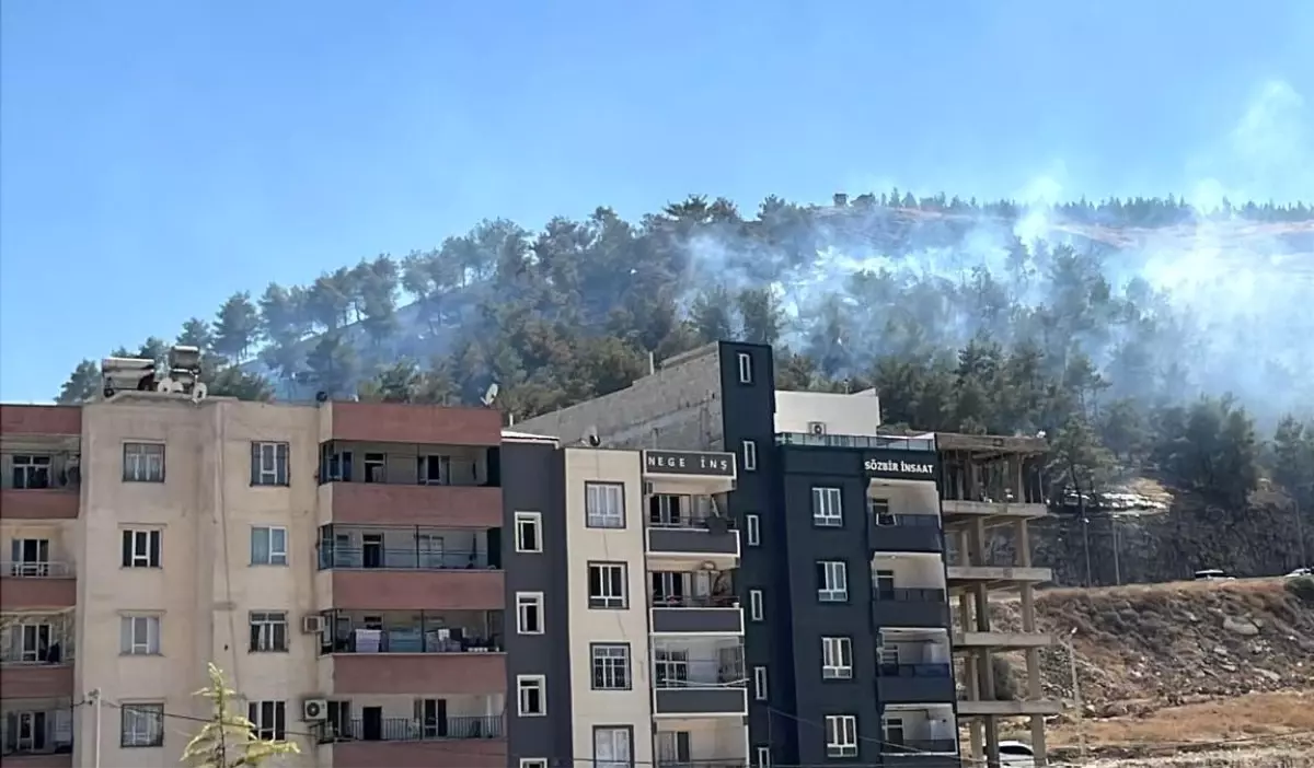 Şanlıurfa'da Ağaçlık Alanda Yangın Kontrol Altına Alındı