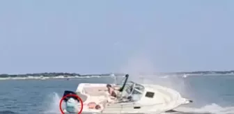 Şiddetli bir şekilde tekneye çarpan balina feci şekilde can verdi