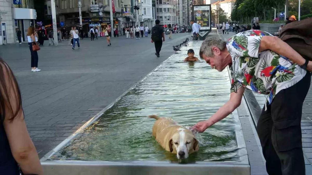 İstanbul'da Sıcak Hava, Çocuk ve Köpeği Süs Havuzuna Daldırdı
