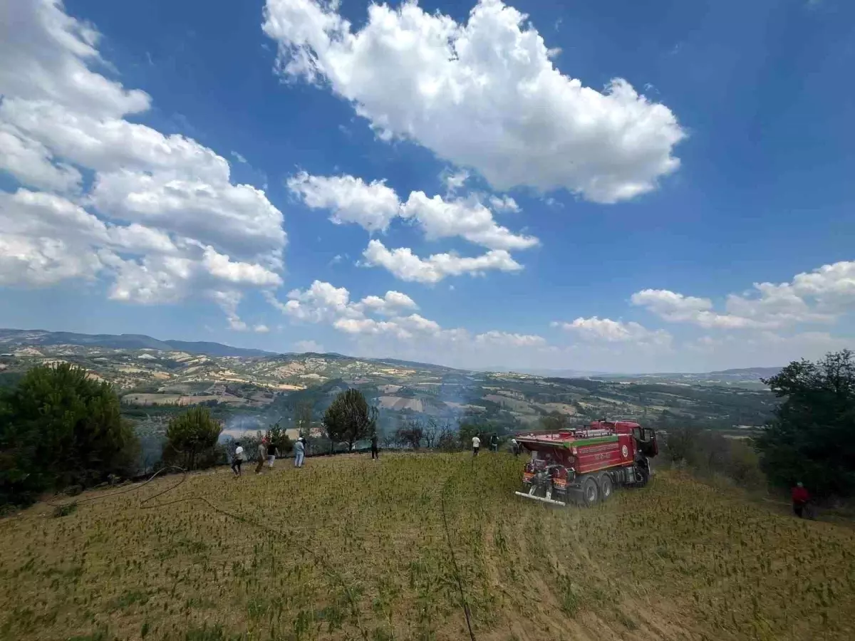 Manisa'da Tütün Tarlasında Yangın: 3 Dönüm Alan Zarar Gördü