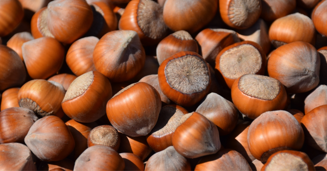 2025 Kilogram başı fındık fiyatları açıklandı mı, ne zaman açıklanacak?