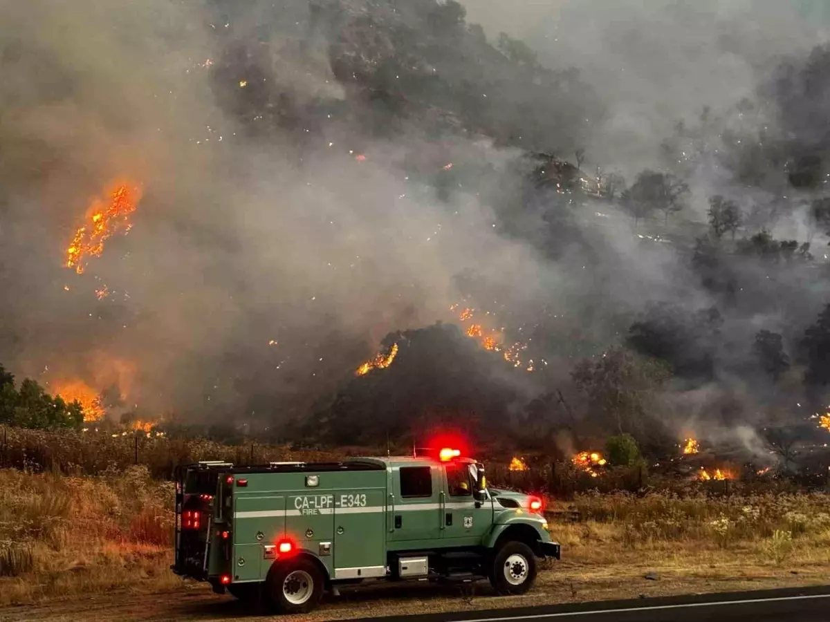 California'daki Orman Yangını 72 Bin Dönüm Alanı Küle Çevirdi