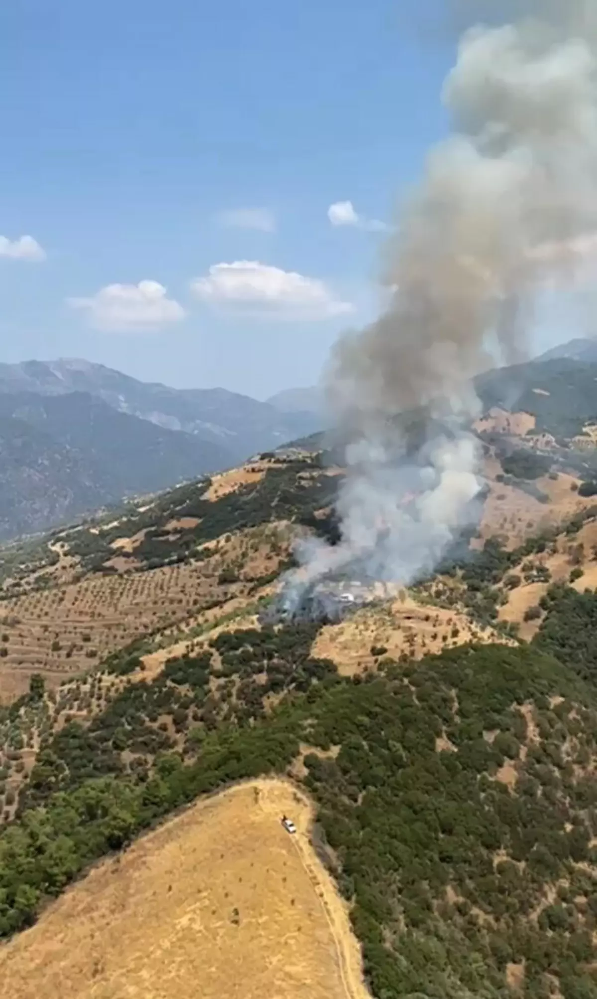 Aydın'da Tarım Arazisinde Yangın Çıktı