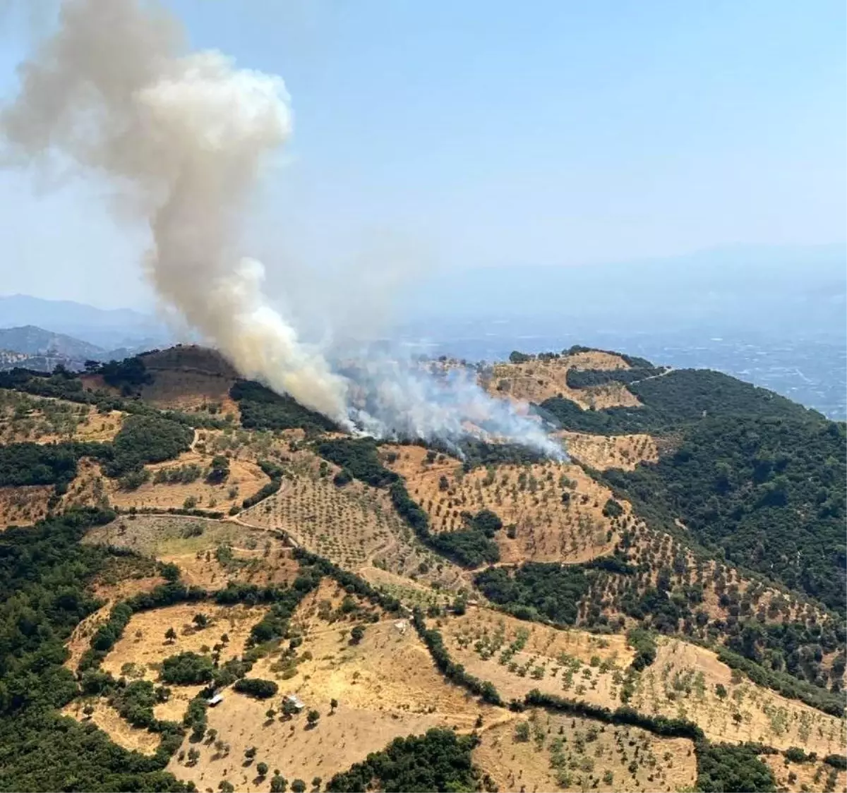 Aydın'da Zirai Alanda Yangın Çıktı