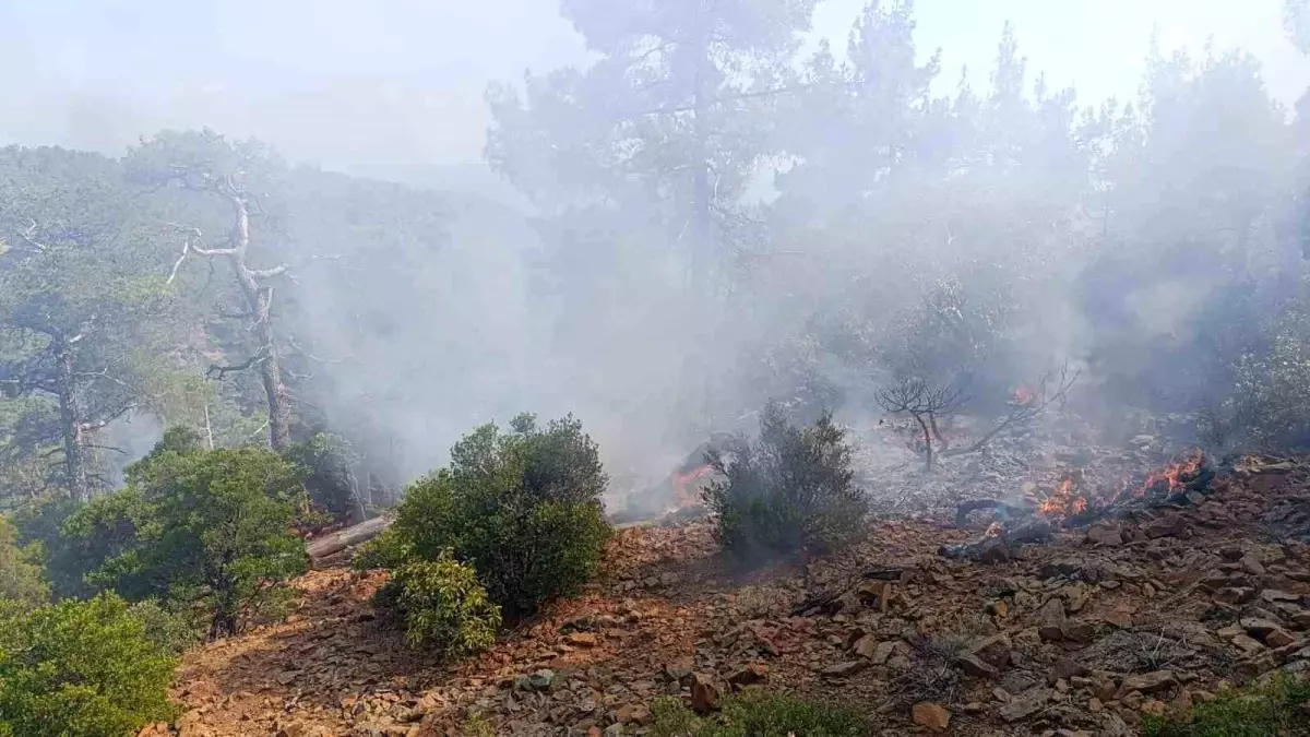Denizli'de Orman Yangınına Havadan Müdahele