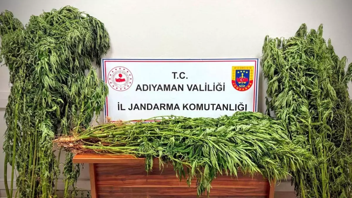 Adıyaman'da Uyuşturucu Operasyonu: 9 Kişi Gözaltında