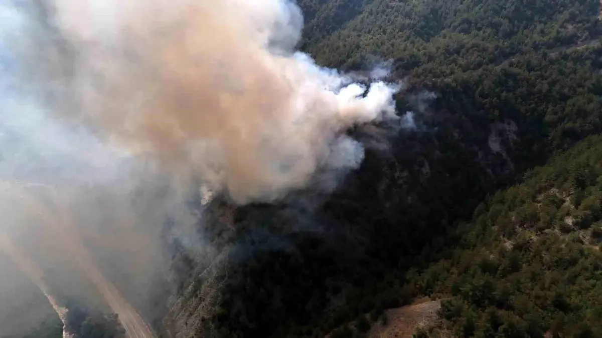 Karabük'ün Arıcak Köyünde Orman Yangını Çıktı