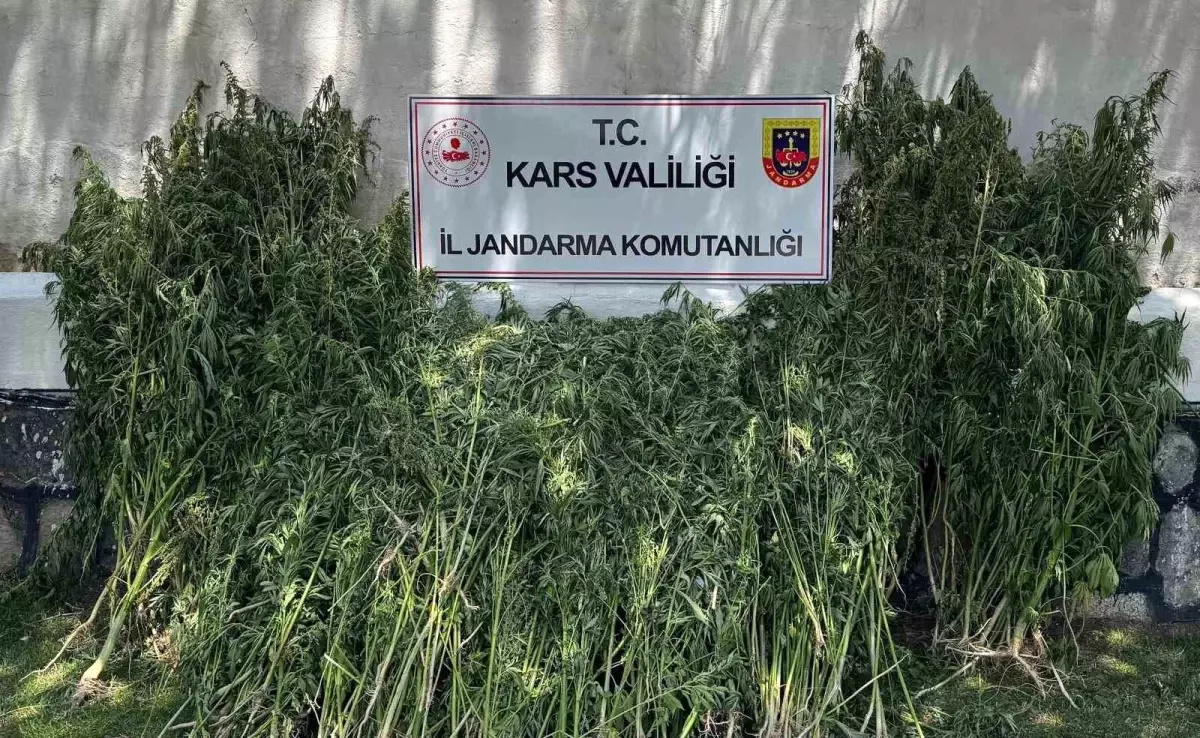 Kars’ta Jandarma Uyuşturucu Tacirlerine Geçit Vermiyor