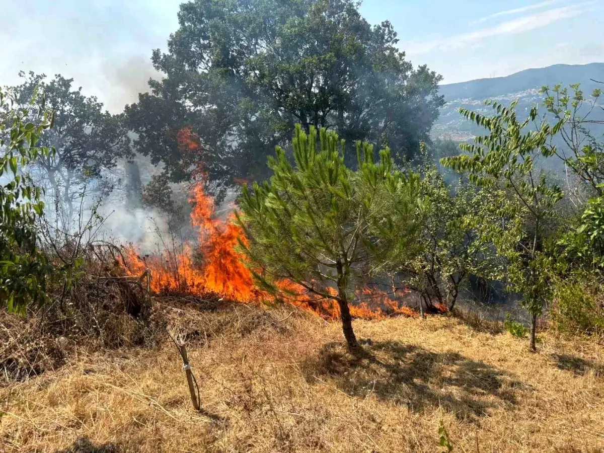 Sakarya'da Makilik Alanda Çıkan Yangın Kısa Sürede Söndürüldü