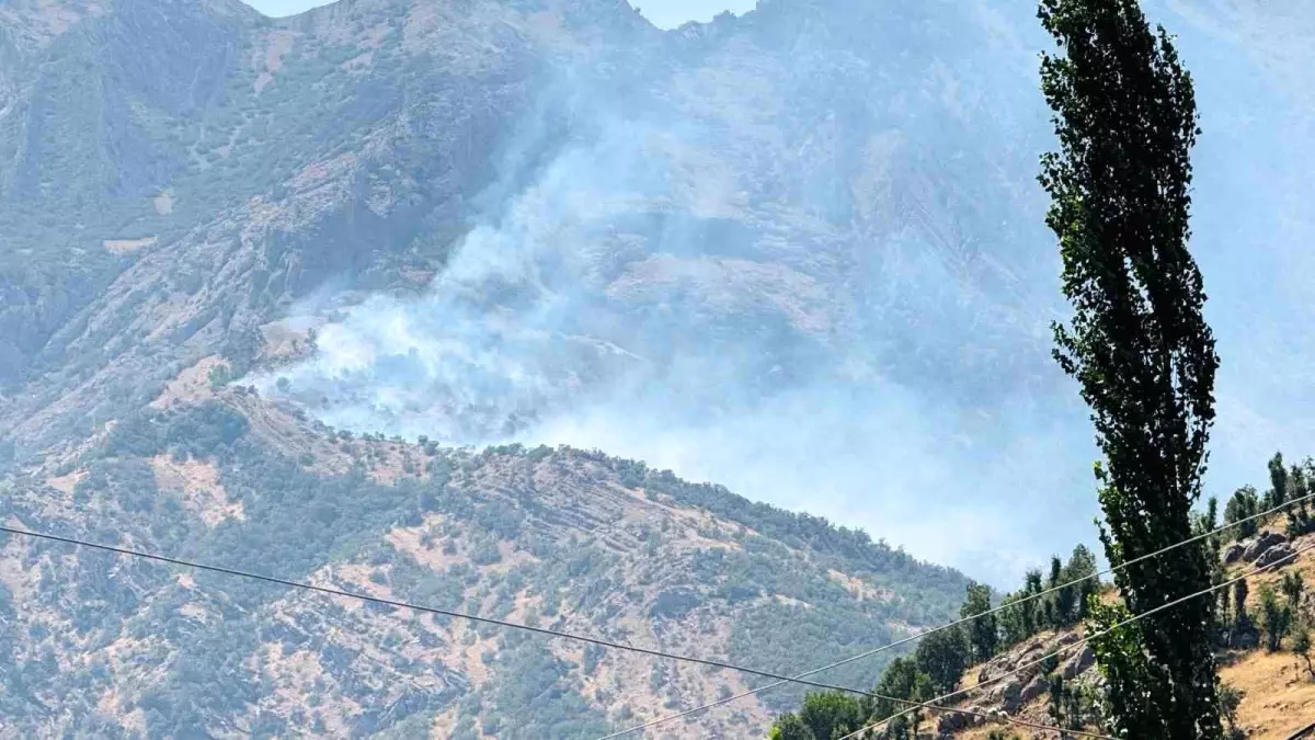 Şırnak'ta Orman Yangını: Kontrol Altına Alınamadı